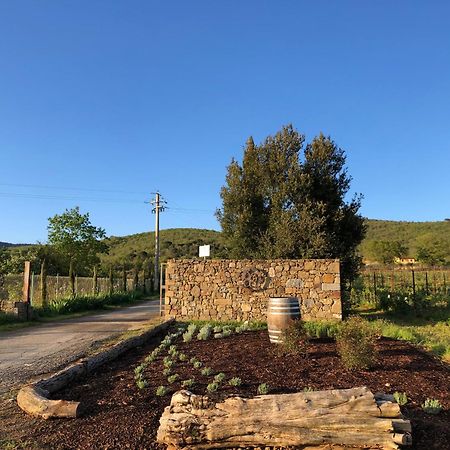 Agriturismo La Posta Reale Castiglion Fibocchi Exterior photo