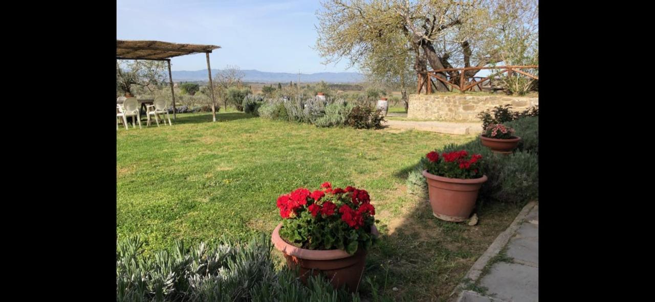 Agriturismo La Posta Reale Castiglion Fibocchi Exterior photo