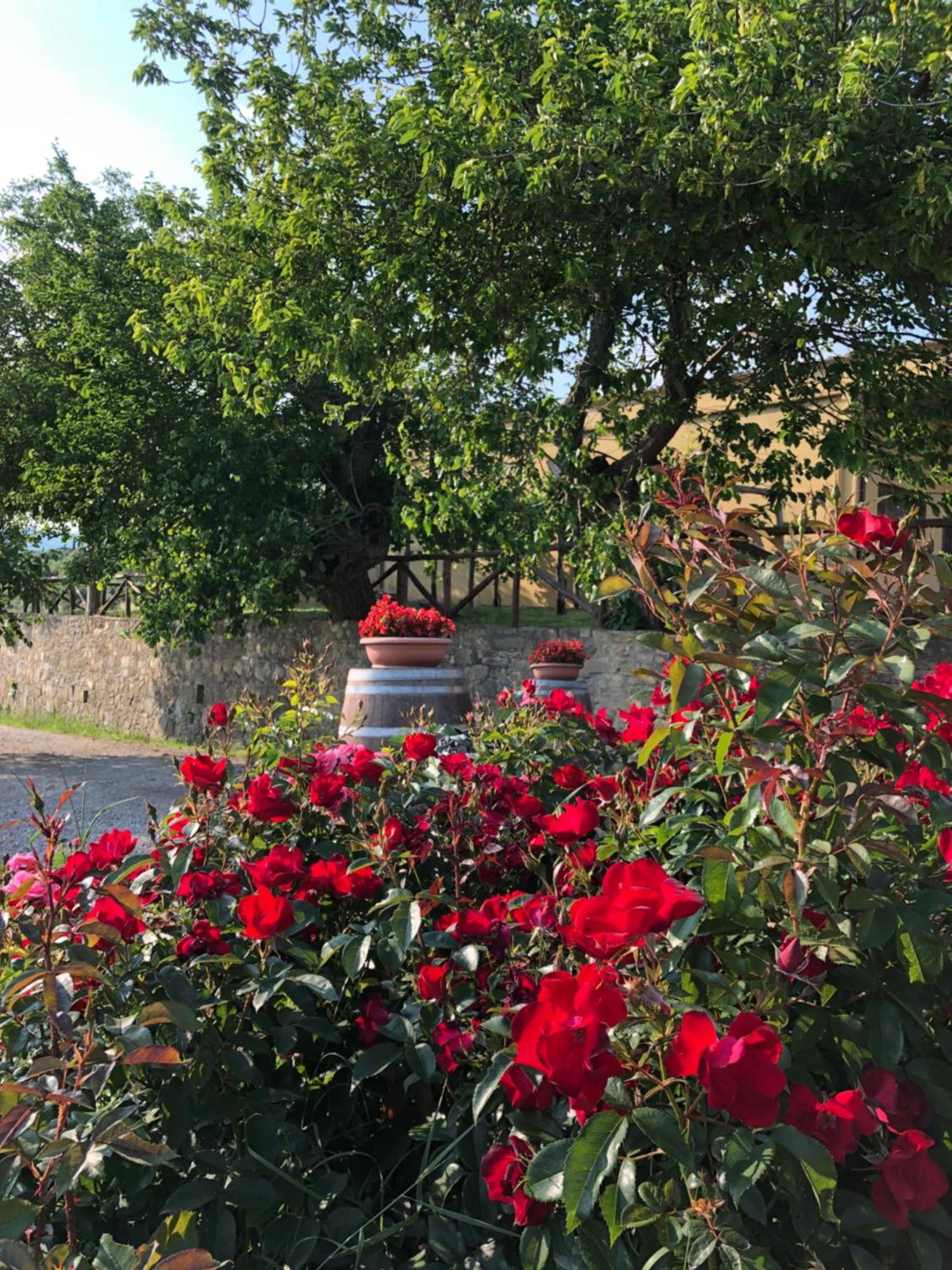 Agriturismo La Posta Reale Castiglion Fibocchi Exterior photo