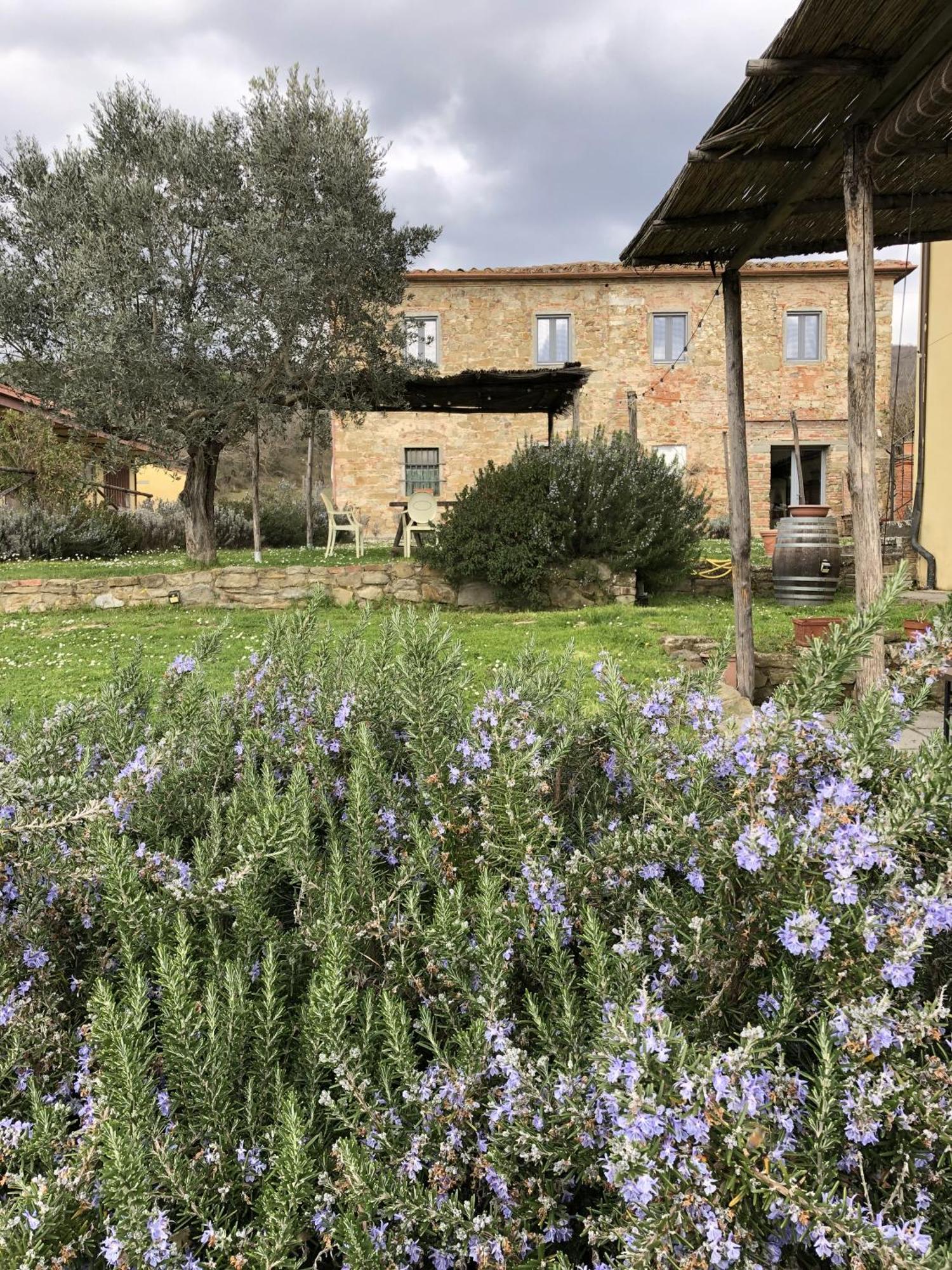 Agriturismo La Posta Reale Castiglion Fibocchi Exterior photo